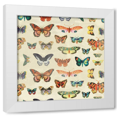 Butterfly 2 White Modern Wood Framed Art Print by Grey, Jace
