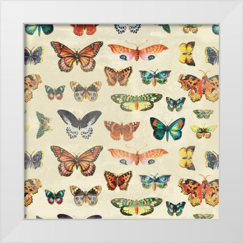 Butterfly 2 White Modern Wood Framed Art Print by Grey, Jace