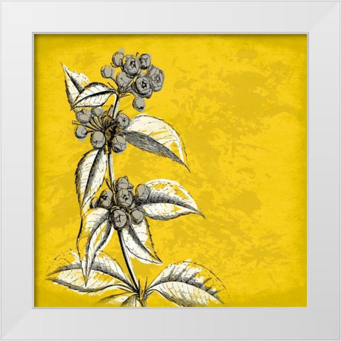 Flowers 3 White Modern Wood Framed Art Print by Grey, Jace
