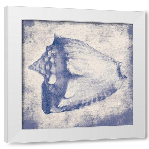 Conch shell White Modern Wood Framed Art Print by Grey, Jace