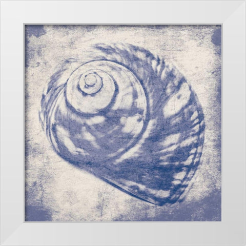 shell White Modern Wood Framed Art Print by Grey, Jace