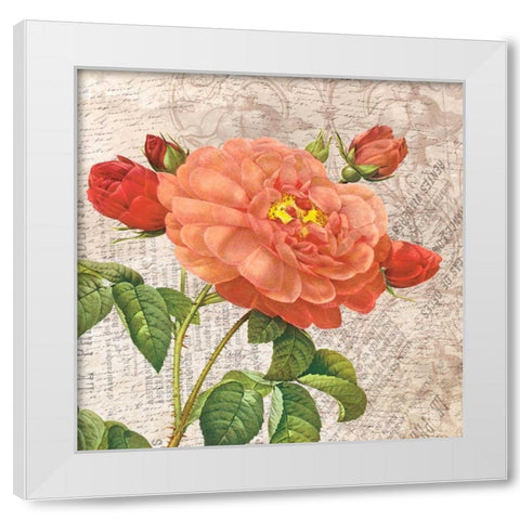 flowers White Modern Wood Framed Art Print by Grey, Jace