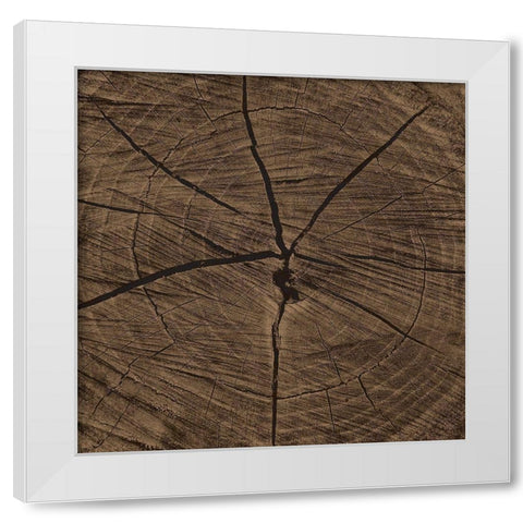 Dark Rings White Modern Wood Framed Art Print by Grey, Jace