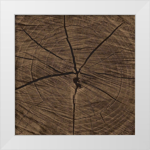 Dark Rings White Modern Wood Framed Art Print by Grey, Jace