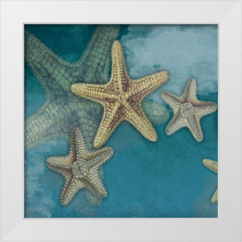 Starfish White Modern Wood Framed Art Print by Grey, Jace