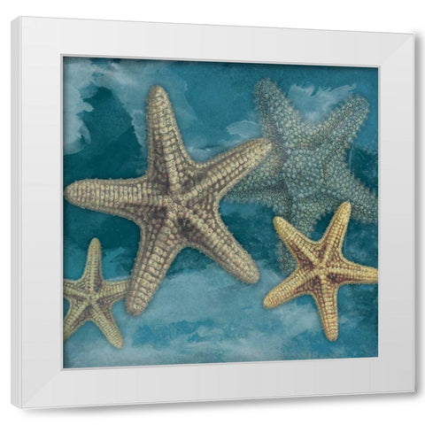 Starfish White Modern Wood Framed Art Print by Grey, Jace