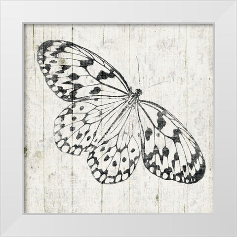 Butterfly Board White Modern Wood Framed Art Print by Grey, Jace