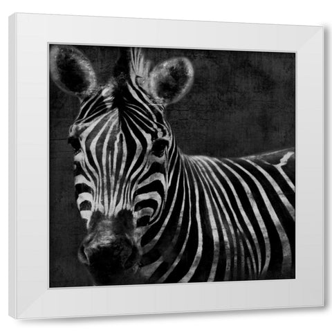 Zebra Black And White White Modern Wood Framed Art Print by Grey, Jace