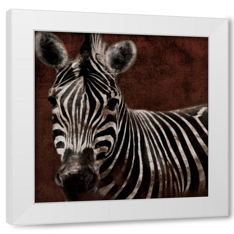 Zebra White Modern Wood Framed Art Print by Grey, Jace