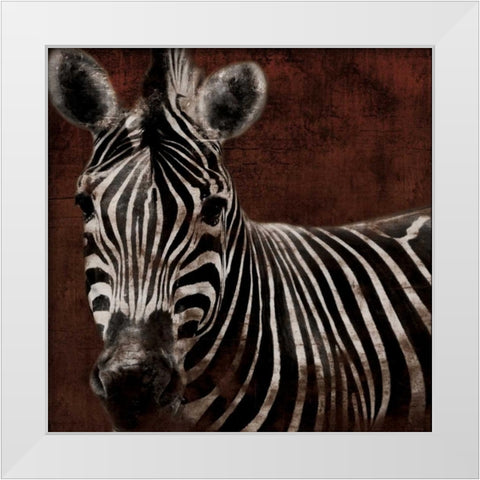 Zebra White Modern Wood Framed Art Print by Grey, Jace