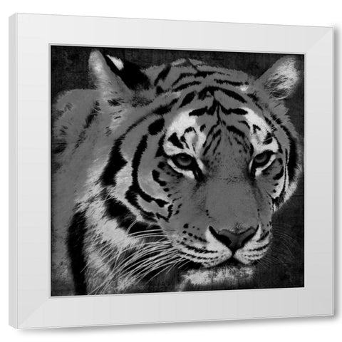 Tiger Black And White White Modern Wood Framed Art Print by Grey, Jace