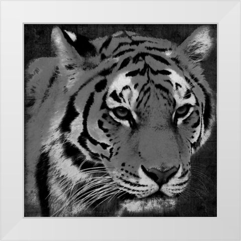 Tiger Black And White White Modern Wood Framed Art Print by Grey, Jace
