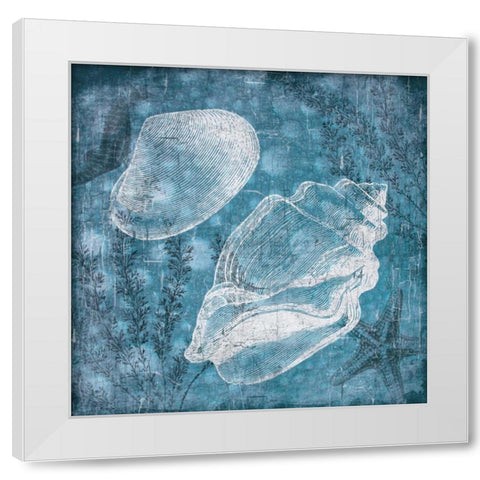 Shell Bubbles I White Modern Wood Framed Art Print by Grey, Jace