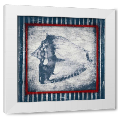 Coastal Shells White Modern Wood Framed Art Print by Grey, Jace