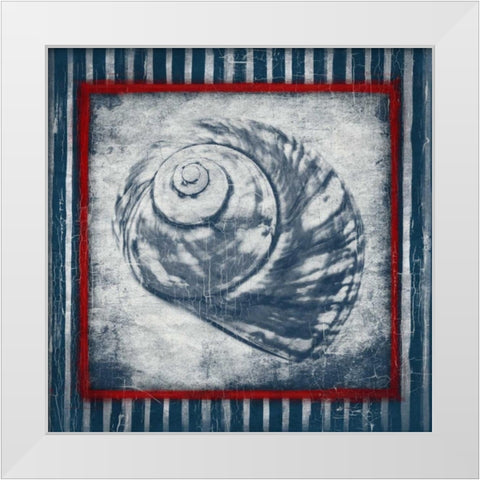 Coastal Shells 2 White Modern Wood Framed Art Print by Grey, Jace