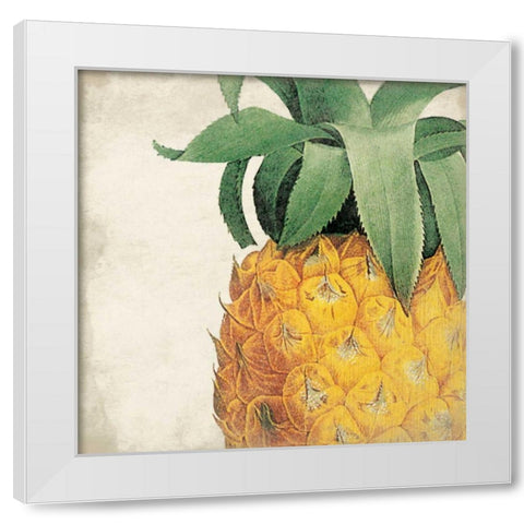 Pineapple White Modern Wood Framed Art Print by Grey, Jace