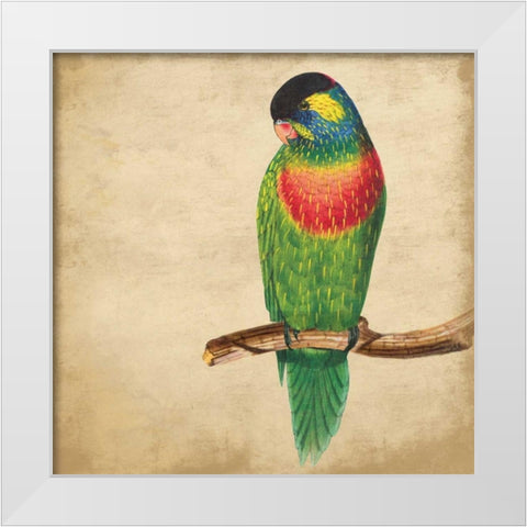 Tropical Bird White Modern Wood Framed Art Print by Grey, Jace