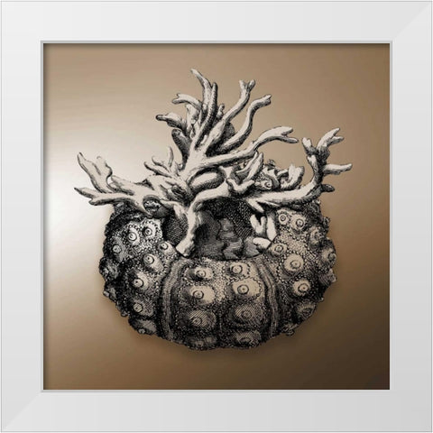 Nautical Sepia Mate White Modern Wood Framed Art Print by Grey, Jace