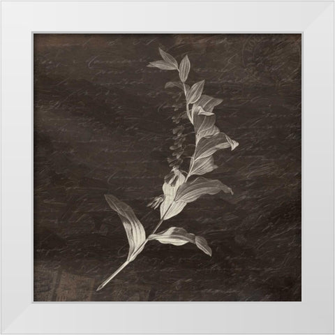 Brown Floral Mate White Modern Wood Framed Art Print by Grey, Jace
