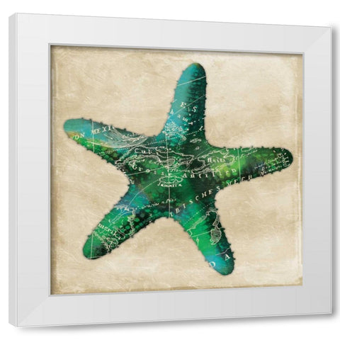Map Starfish White Modern Wood Framed Art Print by Grey, Jace