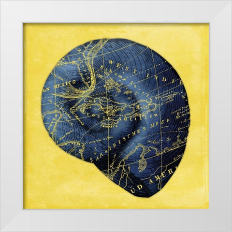 Map Shell 2 Y Indigo White Modern Wood Framed Art Print by Grey, Jace