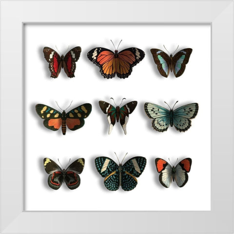 Floating Butterflies White Modern Wood Framed Art Print by Grey, Jace