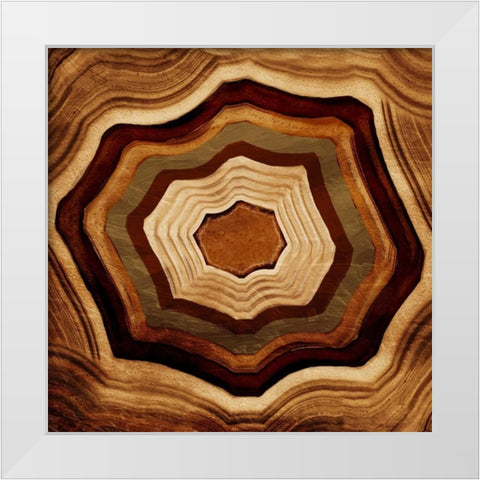 Agate Rings White Modern Wood Framed Art Print by Grey, Jace