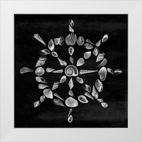Shell Wheel White Modern Wood Framed Art Print by Grey, Jace