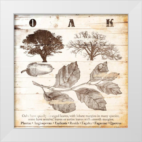 All About Oak White Modern Wood Framed Art Print by Grey, Jace