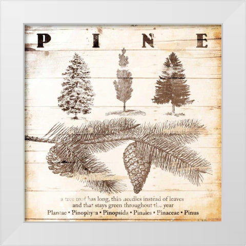 All About Pine White Modern Wood Framed Art Print by Grey, Jace