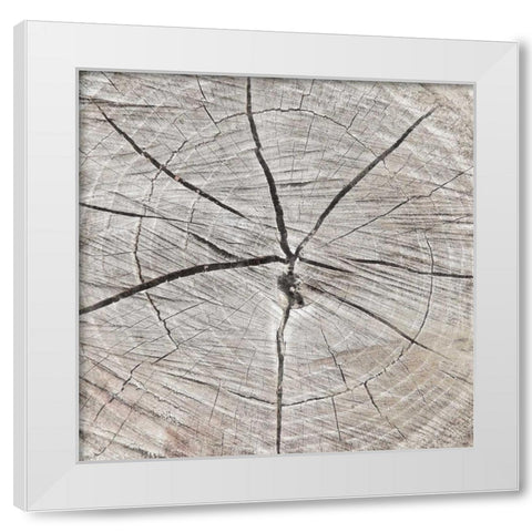 Tree Rings White Modern Wood Framed Art Print by Grey, Jace