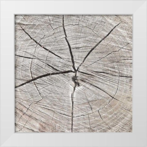 Tree Rings White Modern Wood Framed Art Print by Grey, Jace