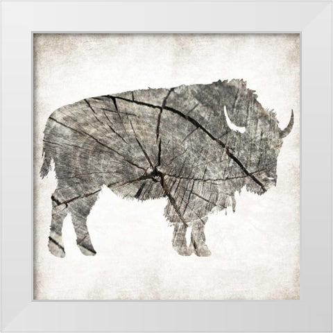 Buffalo Rings Mineral White Modern Wood Framed Art Print by Grey, Jace