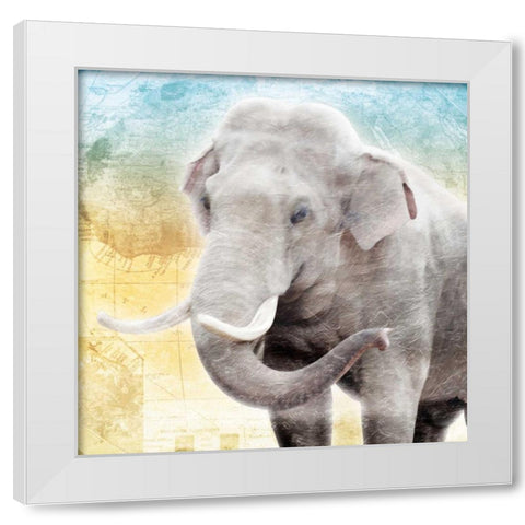 Africa Sunrise Four White Modern Wood Framed Art Print by Grey, Jace