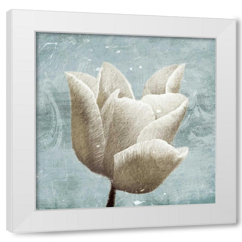 Light calm White Modern Wood Framed Art Print by Grey, Jace