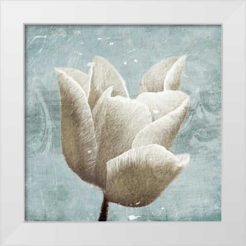 Light calm White Modern Wood Framed Art Print by Grey, Jace