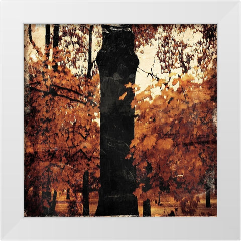 Fall Forest White Modern Wood Framed Art Print by Grey, Jace