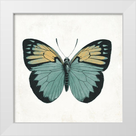 Neutral Butterfly 3 White Modern Wood Framed Art Print by Grey, Jace