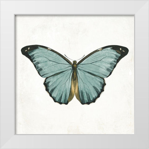 Neutral Butterfly 4 White Modern Wood Framed Art Print by Grey, Jace