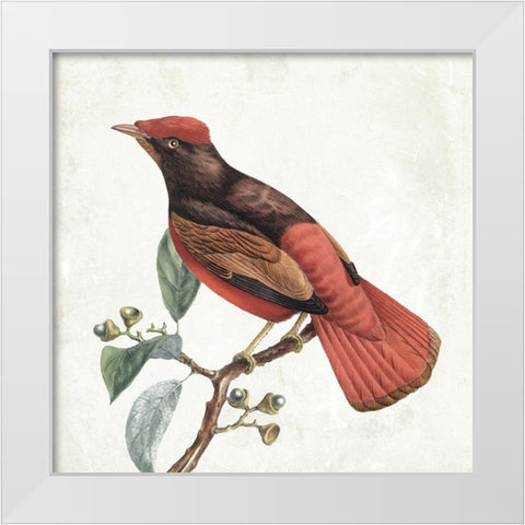 Lovely Birds 3 White Modern Wood Framed Art Print by Grey, Jace