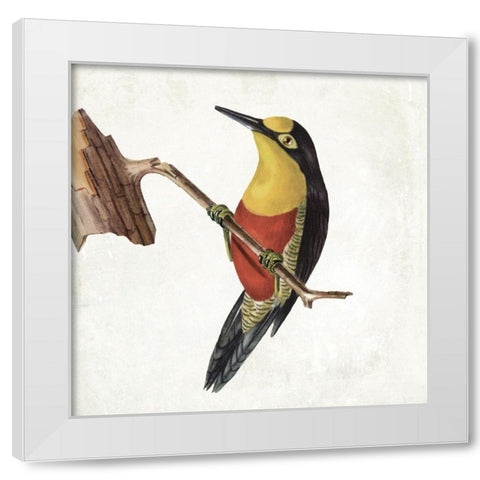 Lovely Birds 4 White Modern Wood Framed Art Print by Grey, Jace