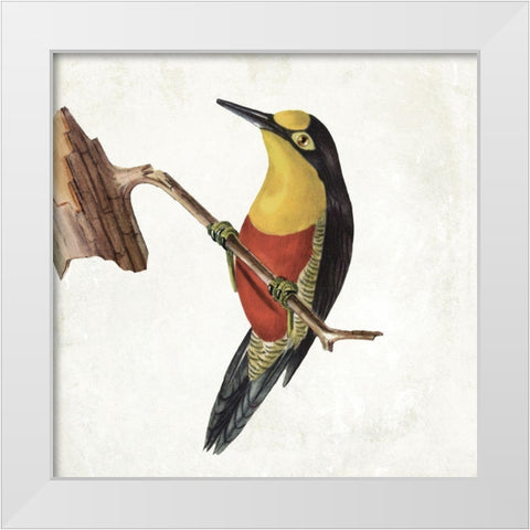 Lovely Birds 4 White Modern Wood Framed Art Print by Grey, Jace