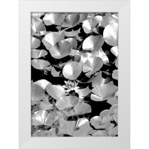 Beach Foliage 5 White Modern Wood Framed Art Print by Grey, Jace