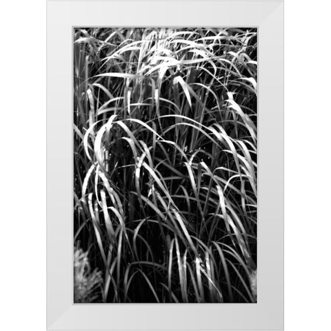 Beach Foliage 7 White Modern Wood Framed Art Print by Grey, Jace