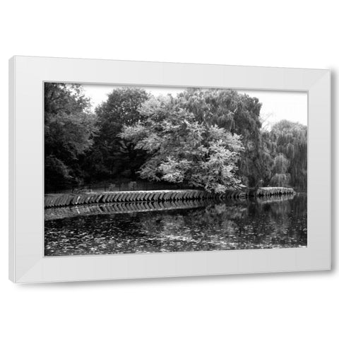 entral Park Feather H White Modern Wood Framed Art Print by Grey, Jace