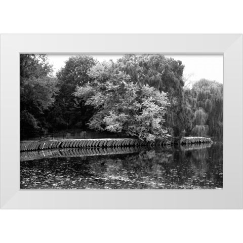 entral Park Feather H White Modern Wood Framed Art Print by Grey, Jace