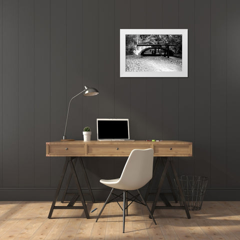 Central Park Horses White Modern Wood Framed Art Print by Grey, Jace