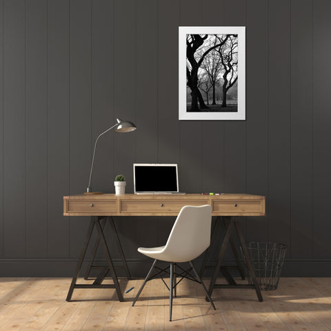 Central Park Dancing Trees White Modern Wood Framed Art Print by Grey, Jace