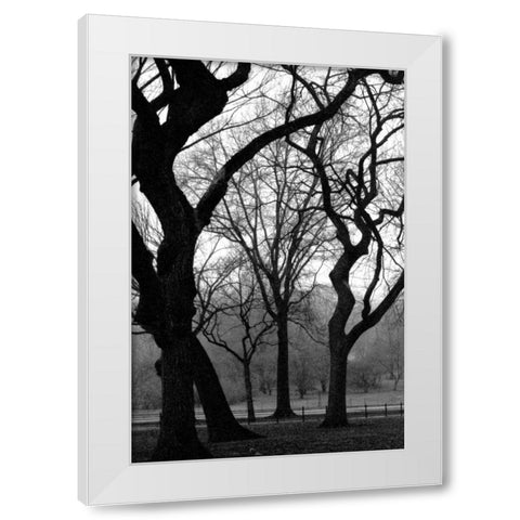 Central Park Dancing Trees White Modern Wood Framed Art Print by Grey, Jace