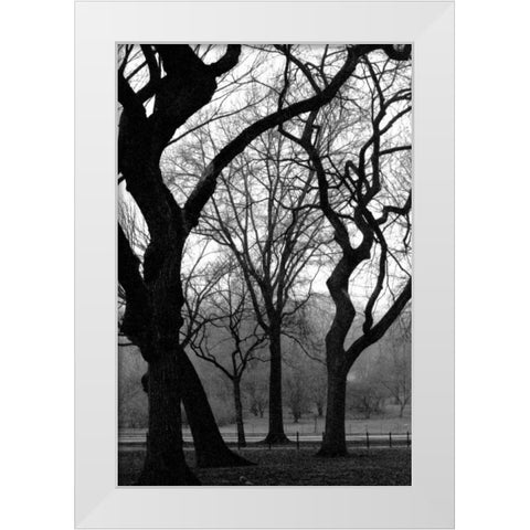 Central Park Dancing Trees White Modern Wood Framed Art Print by Grey, Jace